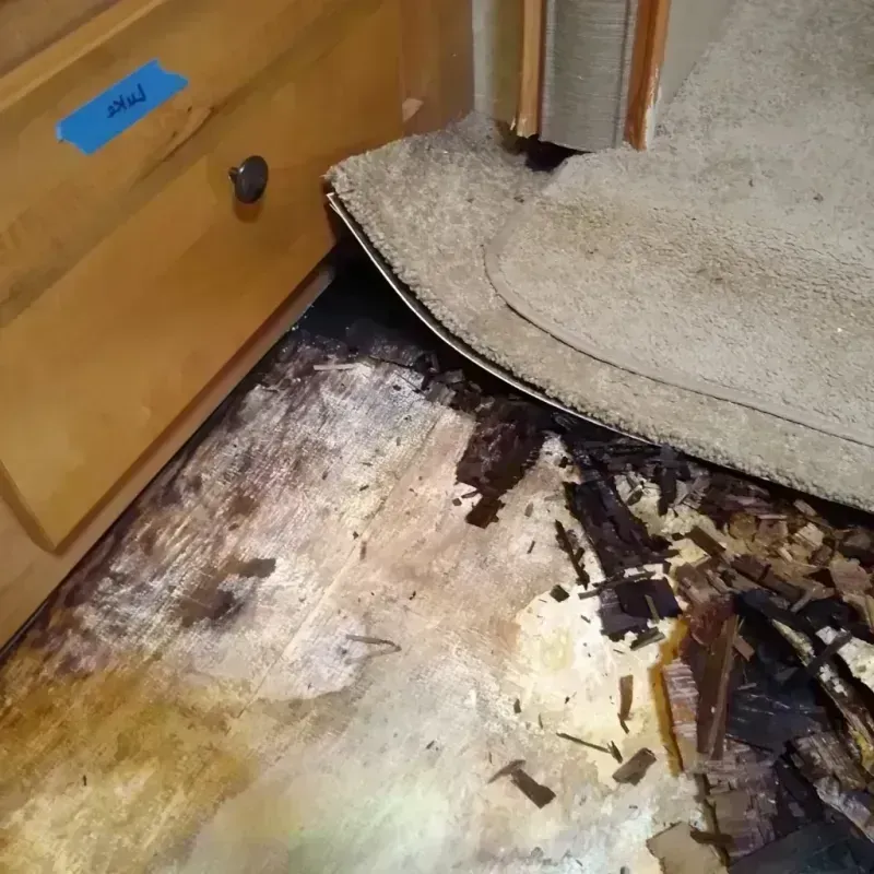 Best Wood Floor Water Damage Service in Mineville, NY